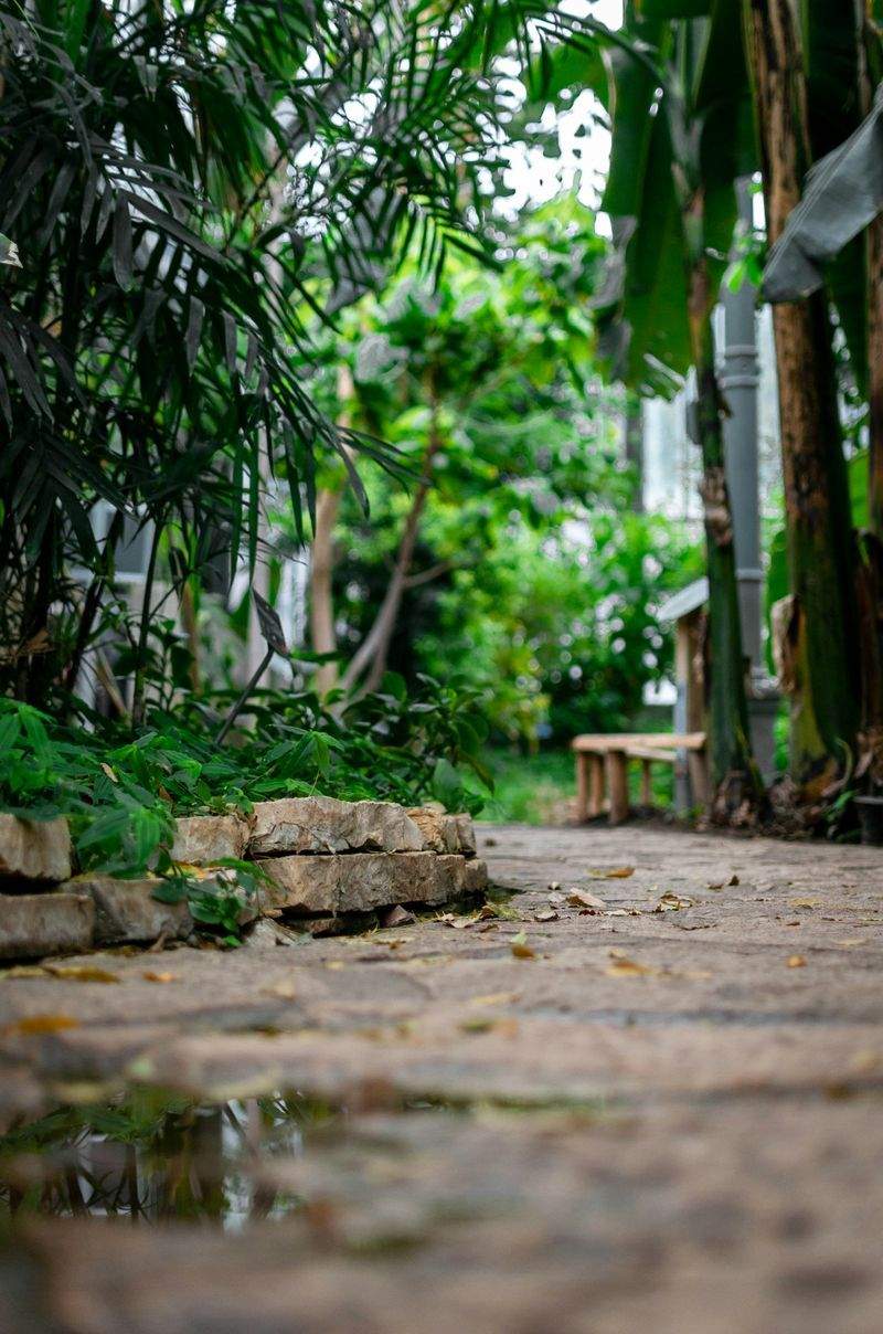 Weed control and garden cleanup